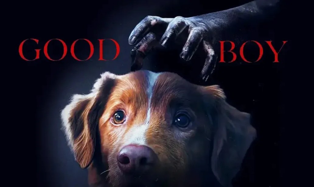 Bom Menino – Esqueça a assombração! O medo mesmo é de que algo aconteça com o doguinho!- por Milly Rodrigs